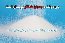 دوربین «نسیم آنلاین» پای درددل بازار خواربارفروشان شکر