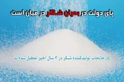 دوربین «نسیم آنلاین» پای درددل بازار خواربارفروشان شکر
