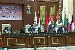نتیجه انفعال در دیپلماسی معرکه‌گیری دولت‌های میکروسکپی