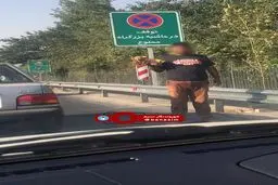 عکس خبری :: فروش سگ خانگی در حاشیه یکی از اتوبان‌های تهران