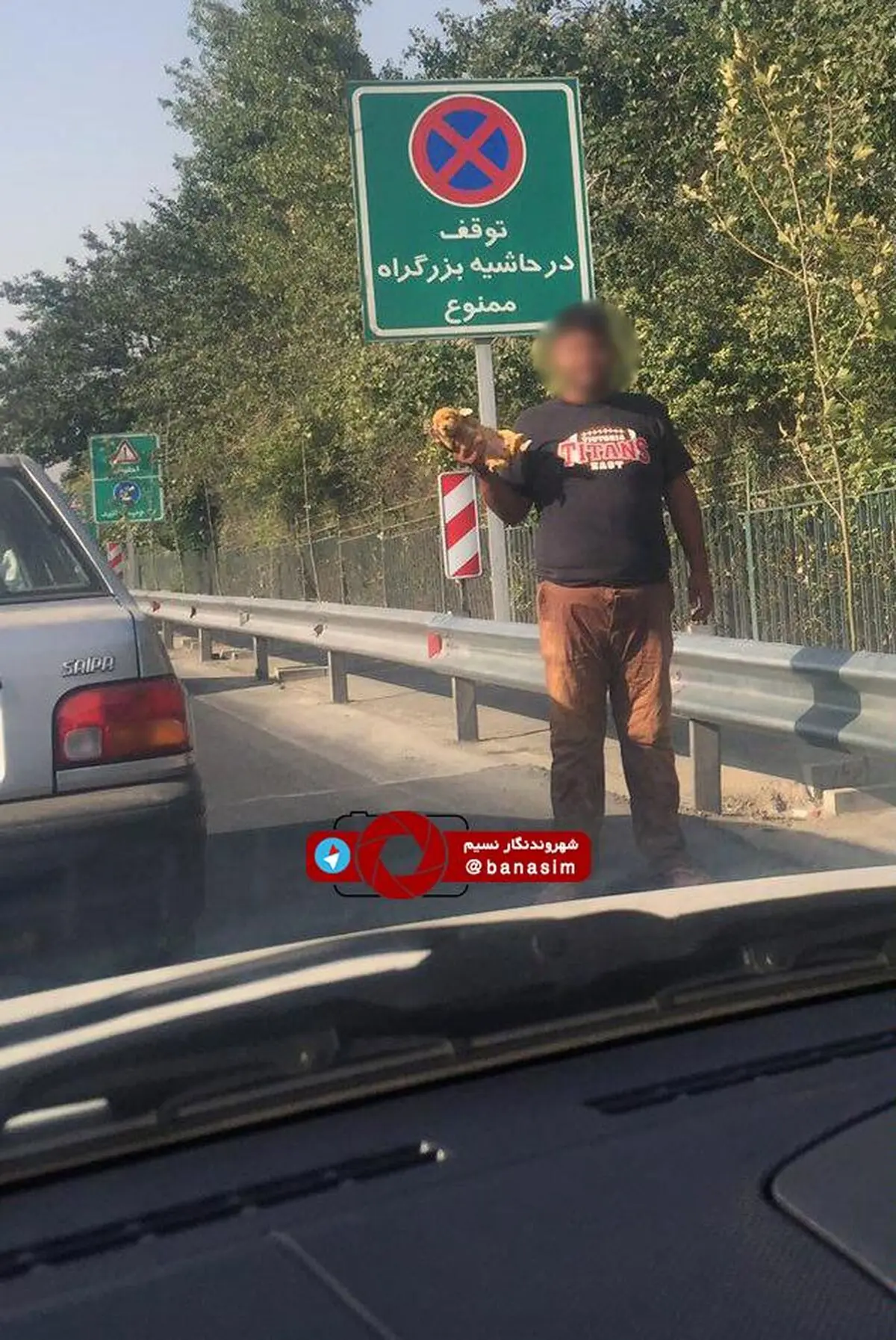 عکس خبری :: فروش سگ خانگی در حاشیه یکی از اتوبان‌های تهران