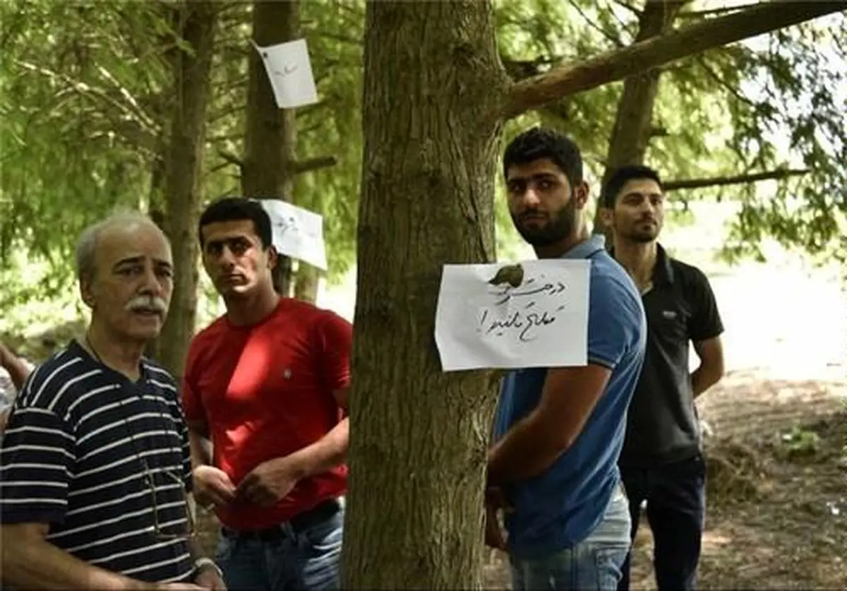 پارک جنگلی محمودآباد- فریدونکنار فروخته شد+سند