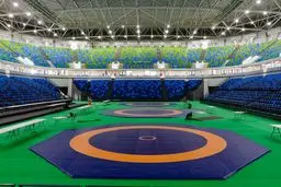 داور المپیکی کشتی ایران عازم ریو می‌شود