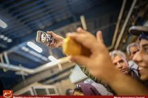 مراحل استخراج طلا در معدن طلا زرشوران