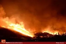 آتش‌سوزی در ۳۰ هکتار از نخلستان‌های عنبرآباد