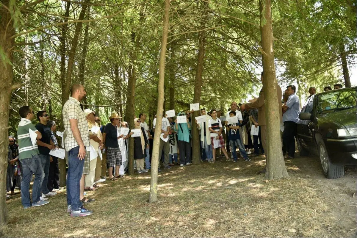 چرایی فروش جنگل محمودآباد مازندران
