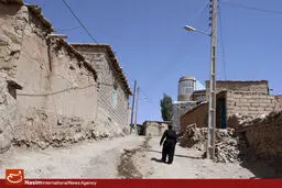 نسل جدید روستانشین مهارت‌های لازم برای اشتغال در روستا را ندارند