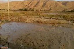 خسارت ۱.۵ میلیارد تومانی سیل در فیروزکوه/ سیلاب وارد شهر نشده است + تصاویر