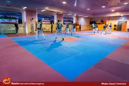 تکواندوکاران المپیکی وارد مشهد مقدس شدند