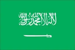 صندوق بین المللی پول: رشد اقتصادی عربستان بسیار کند است
