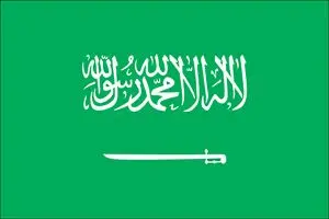 صندوق بین المللی پول: رشد اقتصادی عربستان بسیار کند است