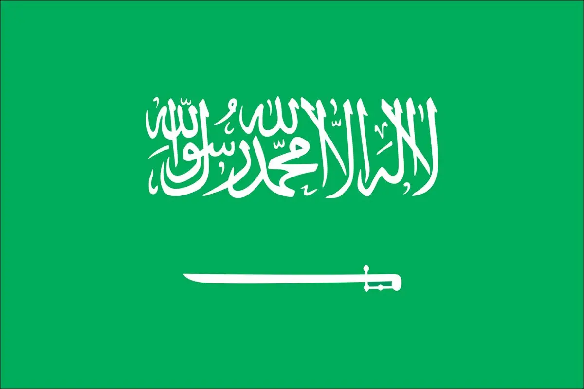 صندوق بین المللی پول: رشد اقتصادی عربستان بسیار کند است