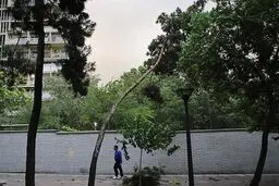 وزش باد در نقاط مختلف کشور/ افزایش دما از نیمه دوم هفته
