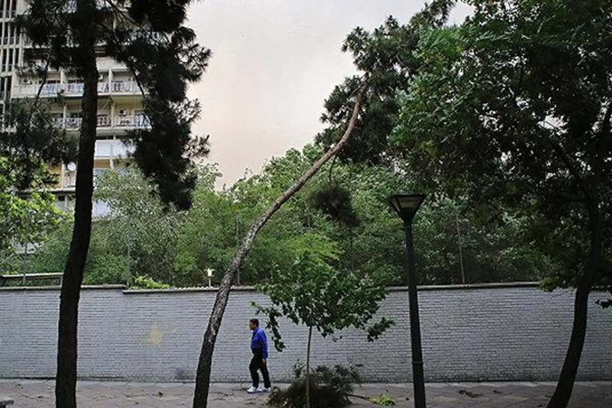 وزش باد در نقاط مختلف کشور/ افزایش دما از نیمه دوم هفته