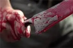 ۲ پلیس بلژیکی به ضرب چاقو مجروح شدند