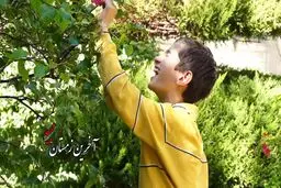 روایت شهادت یک بچه پولدار تهرانی