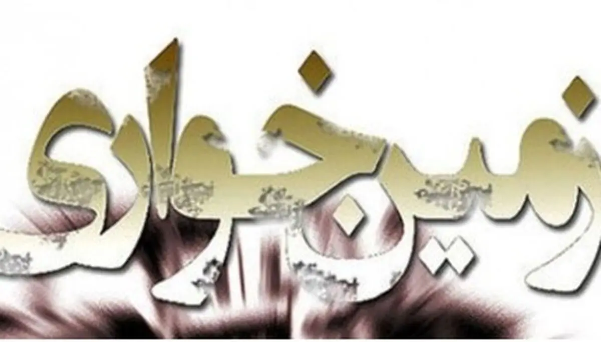 رفع تصرف ۴۸ هکتار از اراضی ملی در شیراز