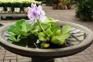 هشدار اداره محیط زیست به شهروندان؛‌ مردم 