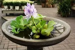 هشدار اداره محیط زیست به شهروندان؛‌ مردم 