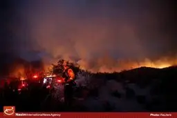 آتش در جنگل‌های بخش الوار اندیمشک مهار شد