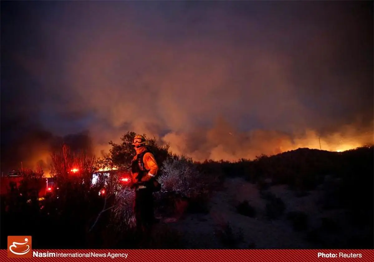 آتش در جنگل‌های بخش الوار اندیمشک مهار شد