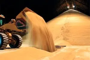 صادرات شکر سفید در ۳ سال اخیر 