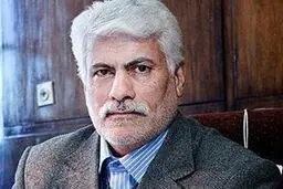 مرجع رسیدگی به قیمت کالا تعزیرات حکومتی است/ دادگاه به تخلفات صنفی ورود نمی‌کند