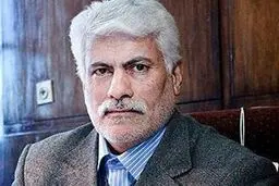 مرجع رسیدگی به قیمت کالا تعزیرات حکومتی است/ دادگاه به تخلفات صنفی ورود نمی‌کند