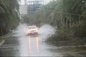 امسال شرایط بارشی کشور خوب است/ یزد کم باران‌ترین استان کشور