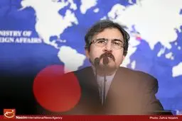 سخنگوی وزارت خارجه: اظهارات کریمی قدوسی ادعایی بی اساس و کذب محض است
