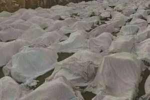 جلسه پیگیری ابعاد حقوقی و قضایی فاجعه منا برگزار شد
