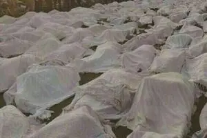 جلسه پیگیری ابعاد حقوقی و قضایی فاجعه منا برگزار شد