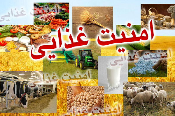 وضعیت ۷ استان کشور از لحاظ امنیت غذایی مناسب نیست/ تدوین سند ملی تغذیه