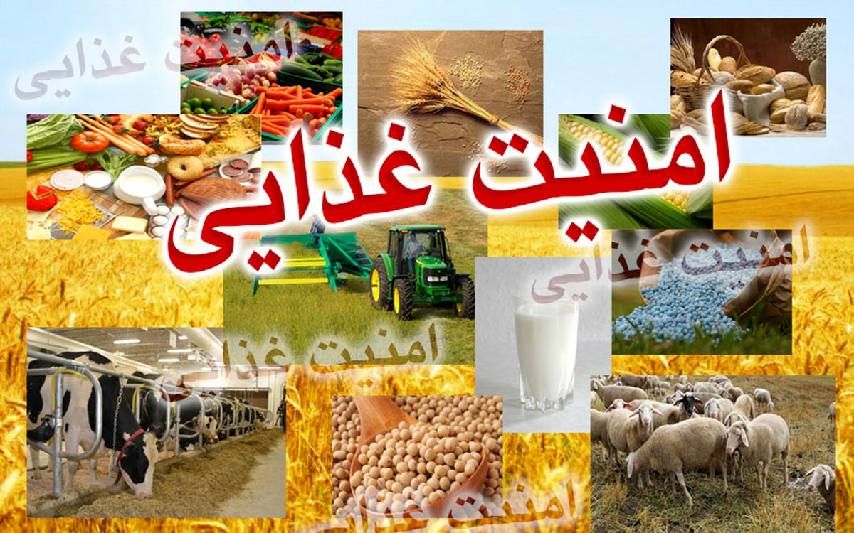 وضعیت ۷ استان کشور از لحاظ امنیت غذایی مناسب نیست/ تدوین سند ملی تغذیه