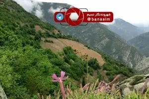 عکس خبری :: طبیعت زیبای منطقه اشکورات رحیم‌آباد چرودسر