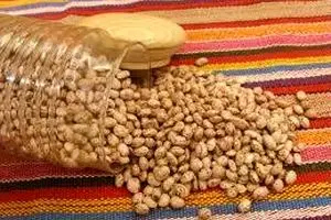 لوبیا چیتی ۱۵۰۰ تومان گران شد/ نمی‌دانم چرا برنج ارزان نشد!