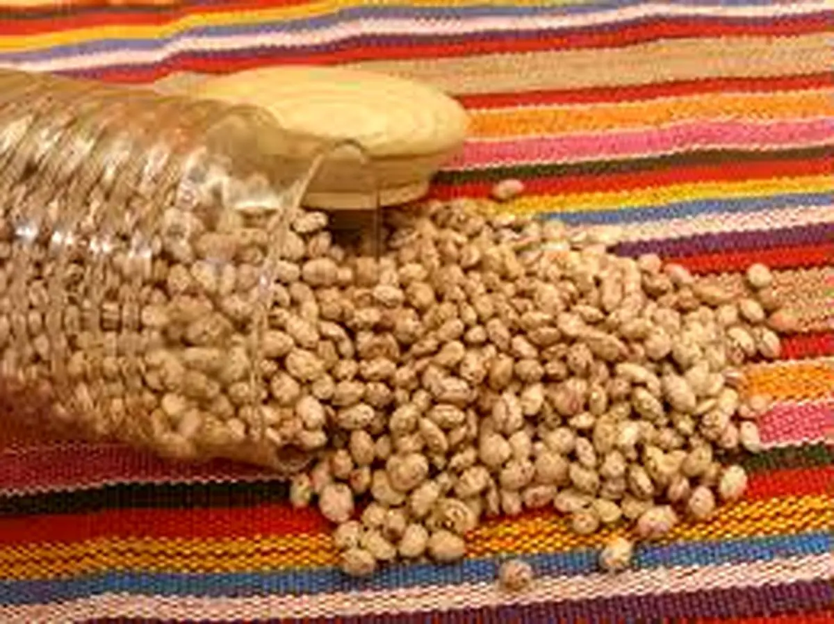 لوبیا چیتی ۱۵۰۰ تومان گران شد/ نمی‌دانم چرا برنج ارزان نشد!