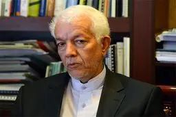 توضیحات سفیر ایران درباره فرد بازداشت شده در ریو