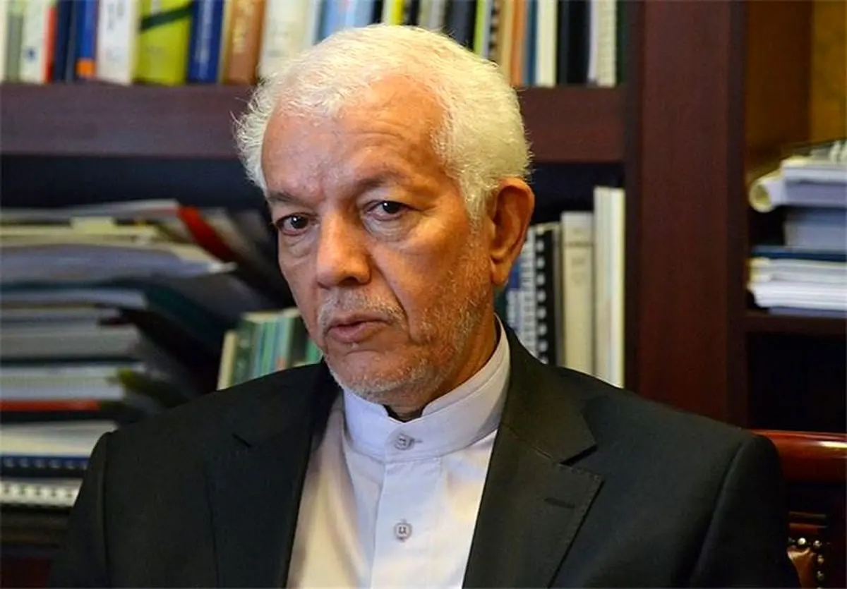 توضیحات سفیر ایران درباره فرد بازداشت شده در ریو