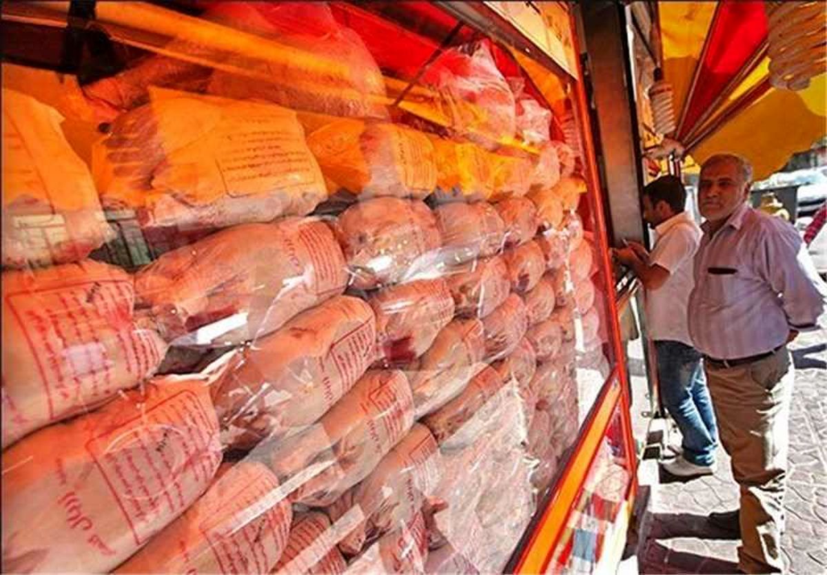 قیمت مرغ هر روز گران‌تر از روز قبل می‌شود/ سکوت دولتمردان روحانی در برابر مرغ ۸ هزار تومانی