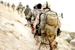 افزایش ۲۰ درصدی تلفات 