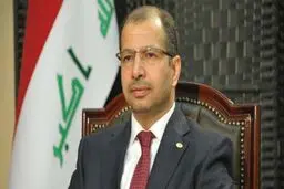 رئیس پارلمان عراق وارد ترکیه شد