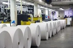 رانت معافیت مالیاتی ۴ درصدی برای مدیر ارشد اتاق بازرگانی