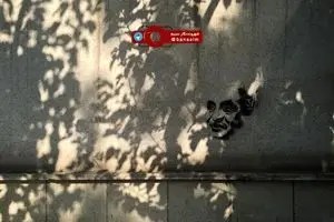 عکس خبری :: گرافیتی نیما یوشیج شاعر معاصر