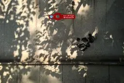 عکس خبری :: گرافیتی نیما یوشیج شاعر معاصر