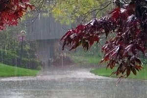 ورود سامانه بارشی از شمال غرب کشور/ هشدار آب گرفتگی معابر و طغیان رودخانه‌ها‌