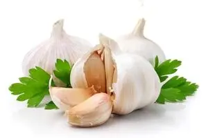 فواید اعجاب آور مصرف ناشتای سیر