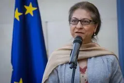جانشین جدید 