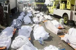 مستند 