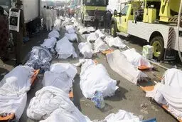 مستند 